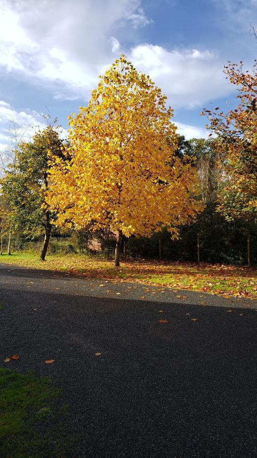Le Calme Bed & Breakfast Plesse Bagian luar foto