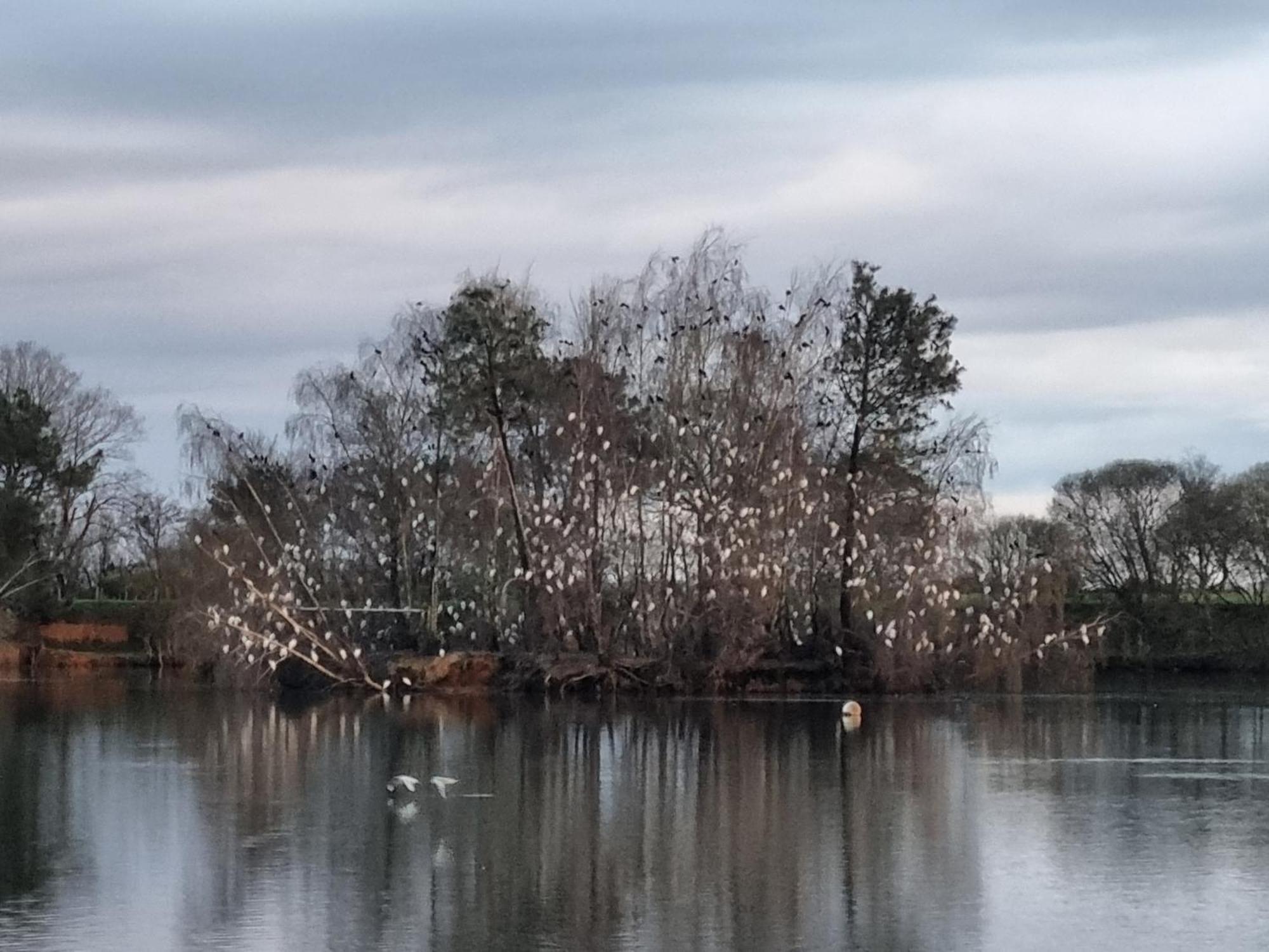 Le Calme Bed & Breakfast Plesse Bagian luar foto